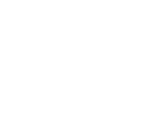 ZiVilla Logo